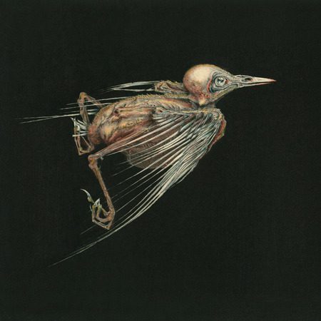 Meshes of Voice - Jenny Hval & Susanna Meshes of Voice - Jenny Hval & Susanna